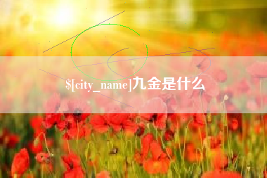 眉山九金是什么