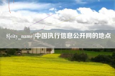 眉山中国执行信息公开网的地点