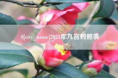 眉山2021年九宫对照表