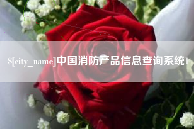 眉山中国消防产品信息查询系统1