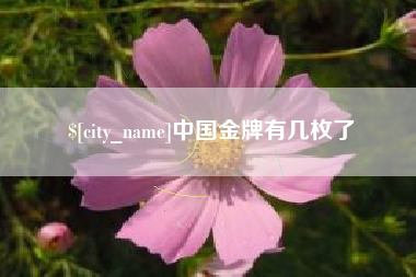 眉山中国金牌有几枚了