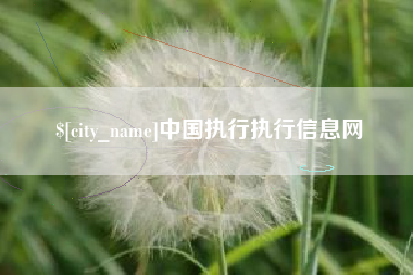 眉山中国执行执行信息网