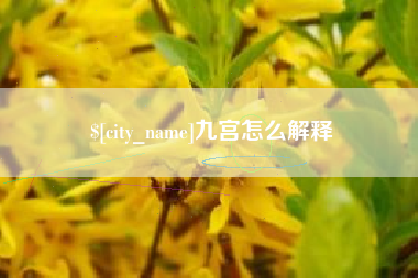 眉山九宫怎么解释