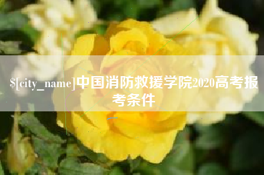 眉山中国消防救援学院2020高考报考条件