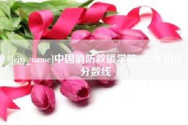 眉山中国消防救援学院2021年招生分数线