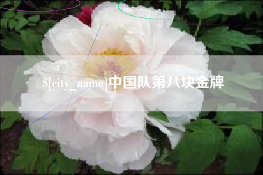 眉山中国队第八块金牌