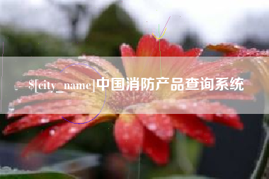 眉山中国消防产品查询系统