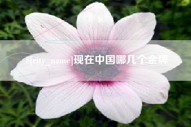 眉山现在中国哪几个金牌