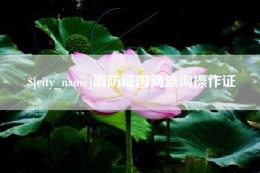 眉山消防证国网查询操作证