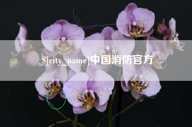 眉山中国消防官方