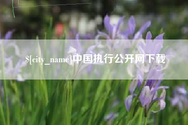眉山中国执行公开网下载