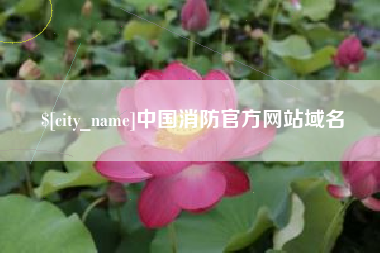 眉山中国消防官方网站域名