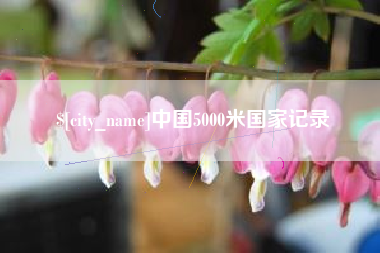 眉山中国5000米国家记录