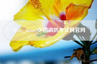 眉山中国消防考试网官网