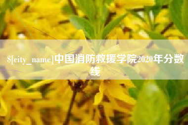 眉山中国消防救援学院2020年分数线