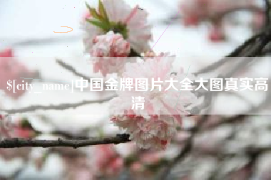 眉山中国金牌图片大全大图真实高清