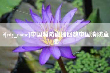 眉山中国消防直播回放中国消防直播