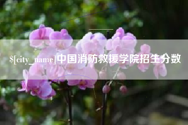 眉山中国消防救援学院招生分数