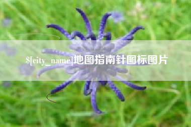 眉山地图指南针图标图片