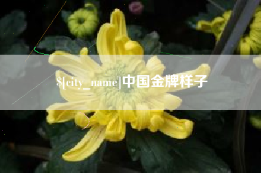 眉山中国金牌样子