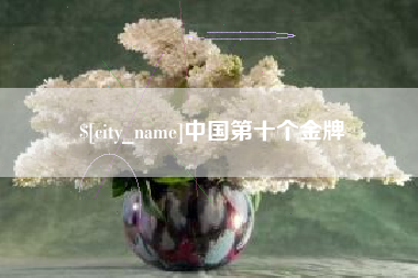 眉山中国第十个金牌