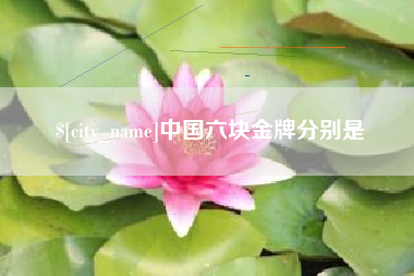 眉山中国六块金牌分别是