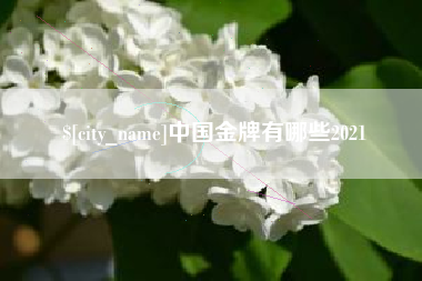 眉山中国金牌有哪些2021