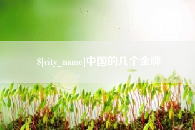 眉山中国的几个金牌
