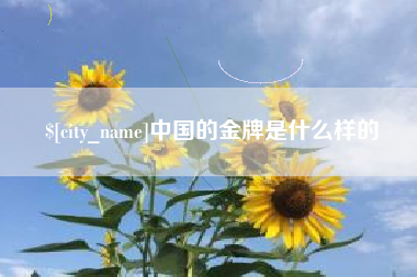 眉山中国的金牌是什么样的