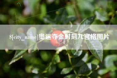 眉山奥运夺金时刻九宫格图片
