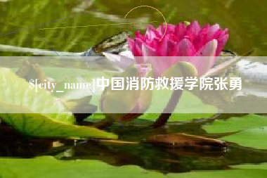 眉山中国消防救援学院张勇