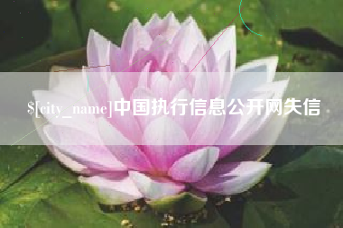 眉山中国执行信息公开网失信