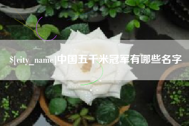 眉山中国五千米冠军有哪些名字