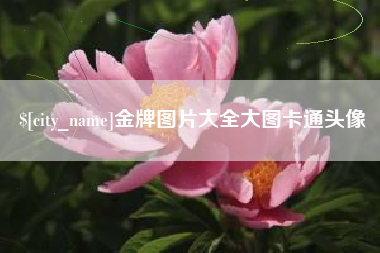 眉山金牌图片大全大图卡通头像