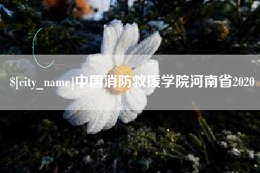 眉山中国消防救援学院河南省2020